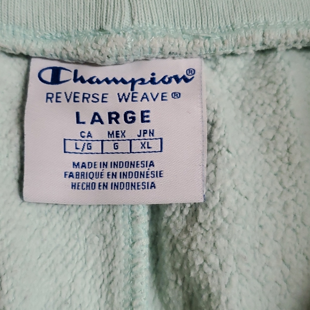 Champion Reverse Weave Script Green Sweat Shorts - Picture 6 of 10